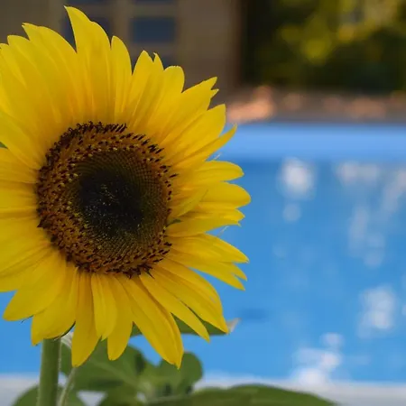 Bouillon - Wellness Dans L Air Du Vent Дом отдыха Sensenruth